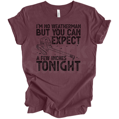 I'm no weatherman Tee