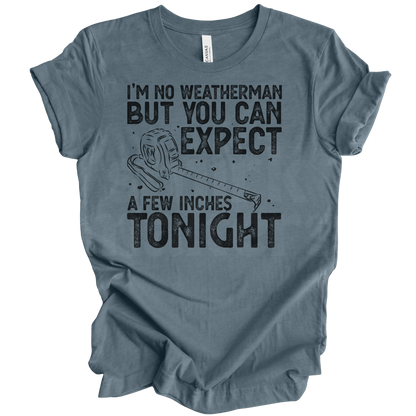 I'm no weatherman Tee