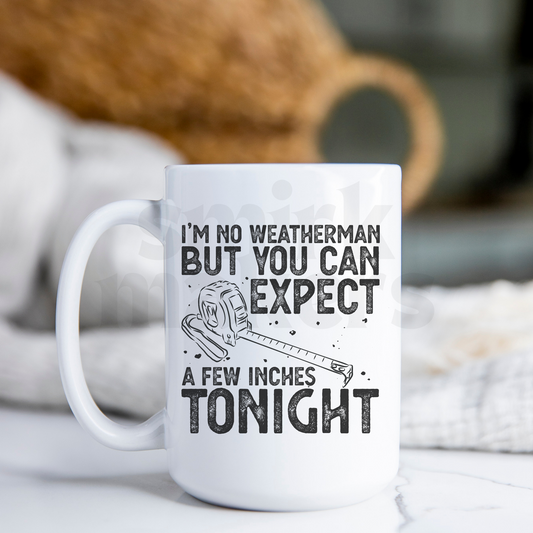 I'm no weatherman - 15 oz Funny Mug