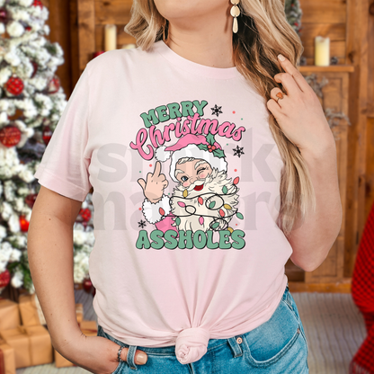 "Merry Christmas A-holes" girly Santa in pink tee.